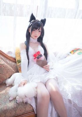 电视剧狂飙在线观看免费完整版_剧情片免费播放